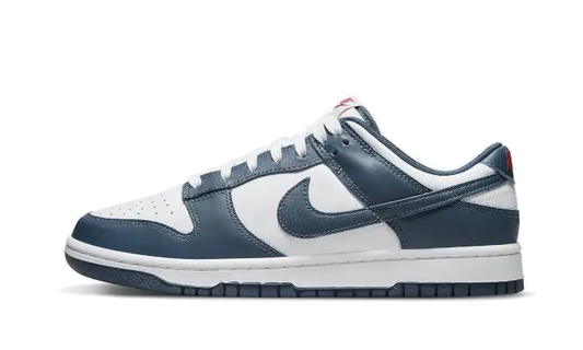 Dunk Low Valerian Blue