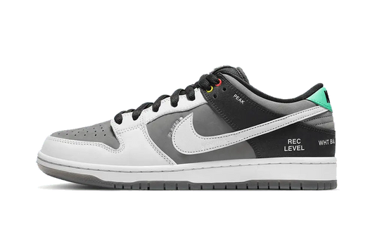 SB Dunk Low VX1000 Camcorder - MTHOR SHOP