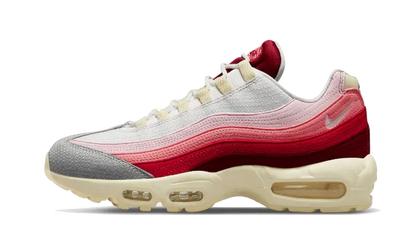 Nike Air Max 95 Anatomy of Air